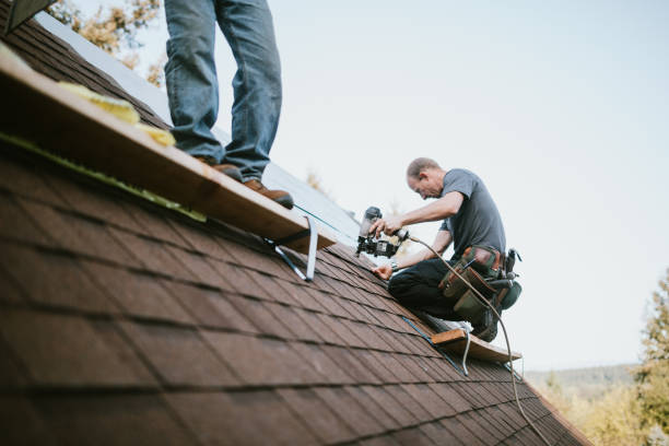 Best Shingle Roofing Installation  in USA